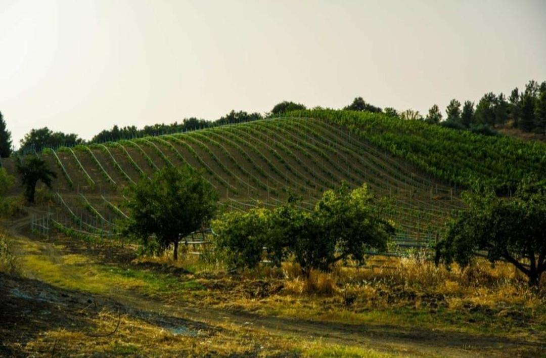 Agriturismo Feudo Tudia Landro Ngoại thất bức ảnh